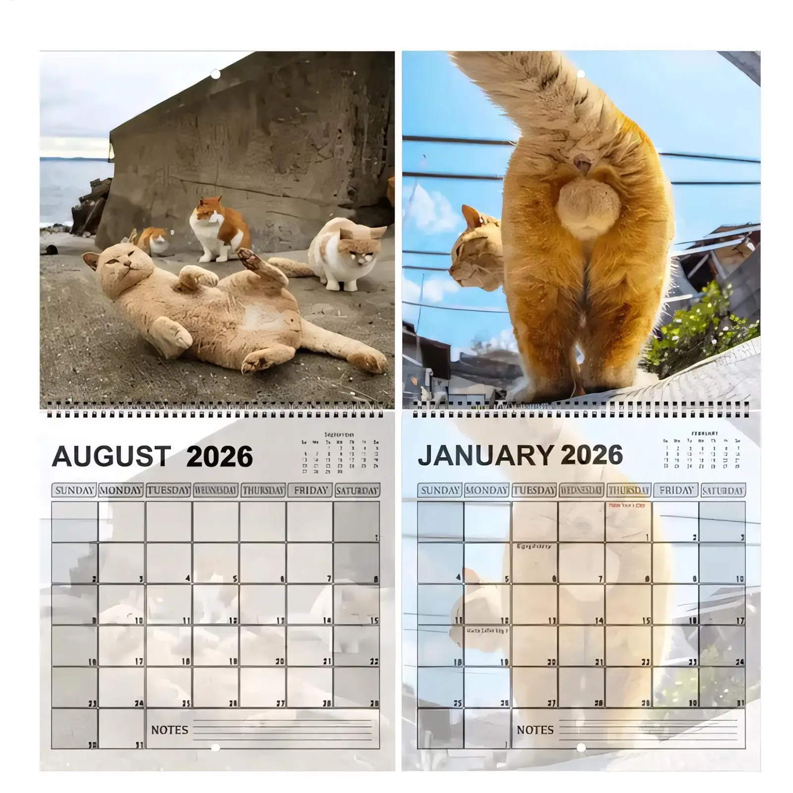 

2026 Funny Cat Butt Calendar, 12-Month Humorous Cat Tail Wall Calendar, Cute Home Decor and Family Monthly Planner Organizer