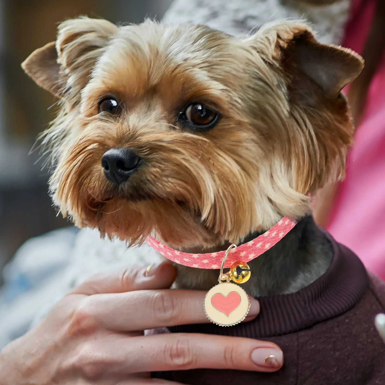 

Pet Collar Cute Dog Cat Collars with Bell Adjustable Celebrity Puppy Polyester Accessory Small Girl Soft