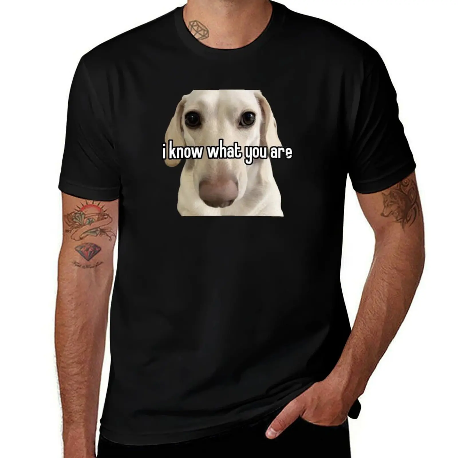 

ally dog T-Shirt t shirts designer t shirts for man cotton soft men t shirt cotton 100% T-shirt