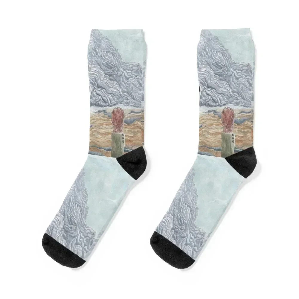 

The Winter Wolf - Fantastic Mr Fox by Wes Anderson Socks compression Christmas basketball funny sock Socks Ladies Men's