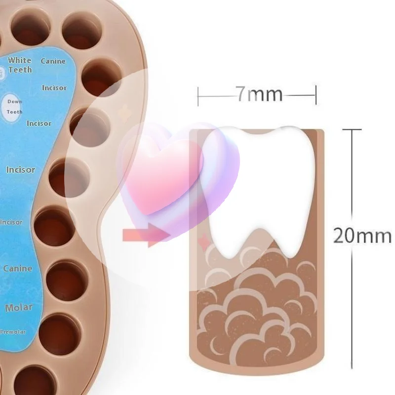1 pçs coleção caixa comemorativa para meninas e meninos mudar dentes caixa de coleção das crianças caixa de armazenamento de dentes do bebê