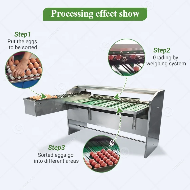 طباعة الفرز الميكانيكية سعة صغيرة Grader Egg Grader الفلبين للبيع