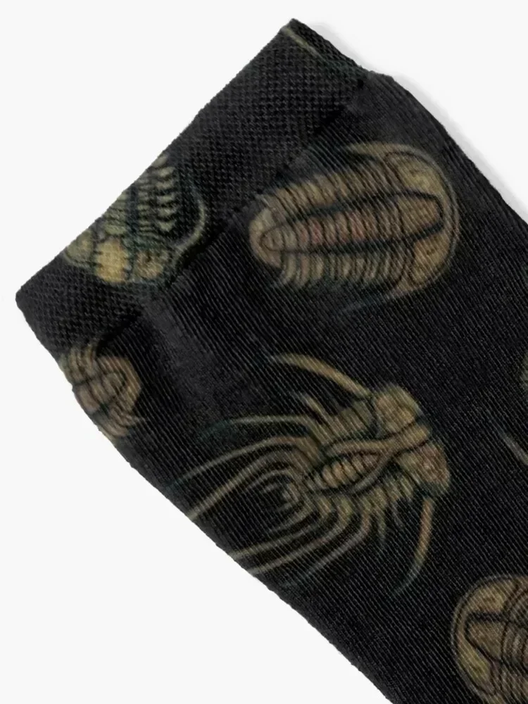 Trilobites - Marine Fossil Pattern Socks colored funny sock Stockings compression Women's Socks Men's