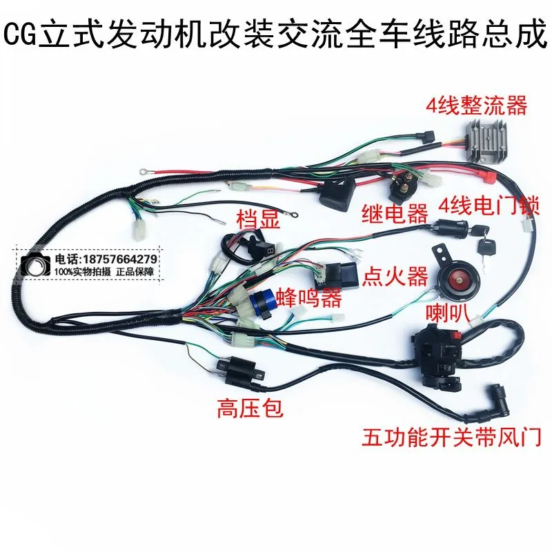 

150CC 250CC Big Dinosaur ATV Big Bull Assembly Wire Line Assembly Wire with Turn Signal Horn