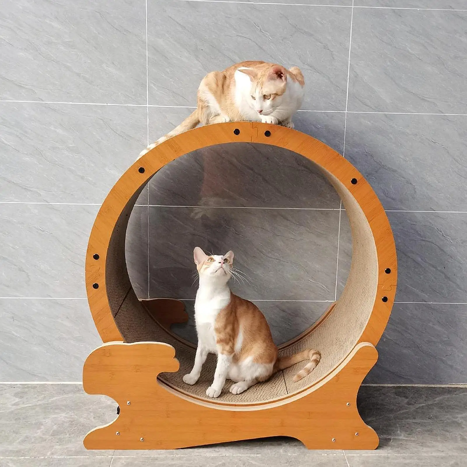 

Cat Running Wheel Cute Cat Furniture Silent Wheel Equipment Pet Toy Noiseless Roller for Indoor Running Fitness Kitten Pets