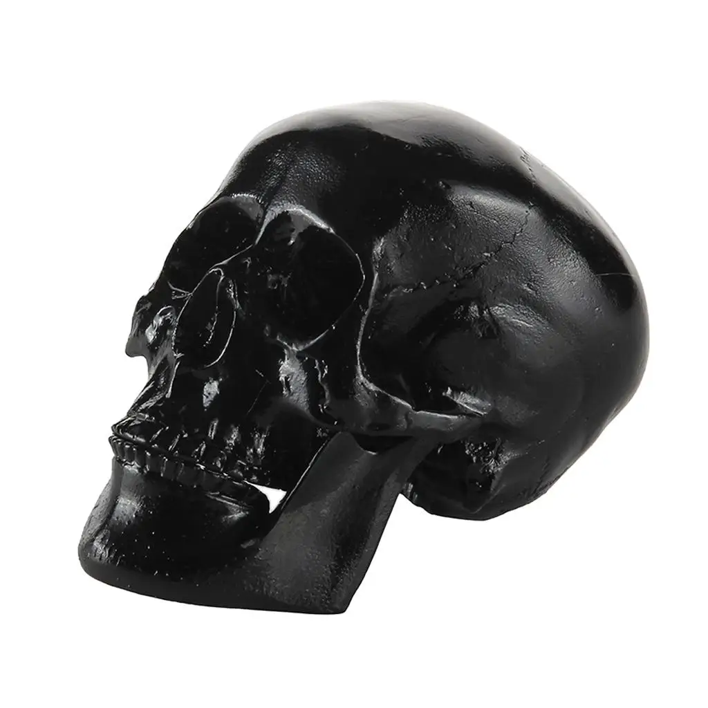 Human Skull Resin Model Collectible Decorative Figure Halloween Ornament for Masquerade Events