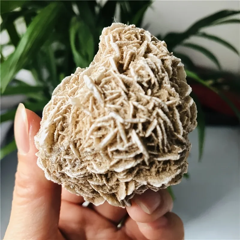 

1pc Natural Desert Rose Rough Stone, Bohemian Mineral Specimen, Suitable for Home Decoration, Unique Holiday Gift