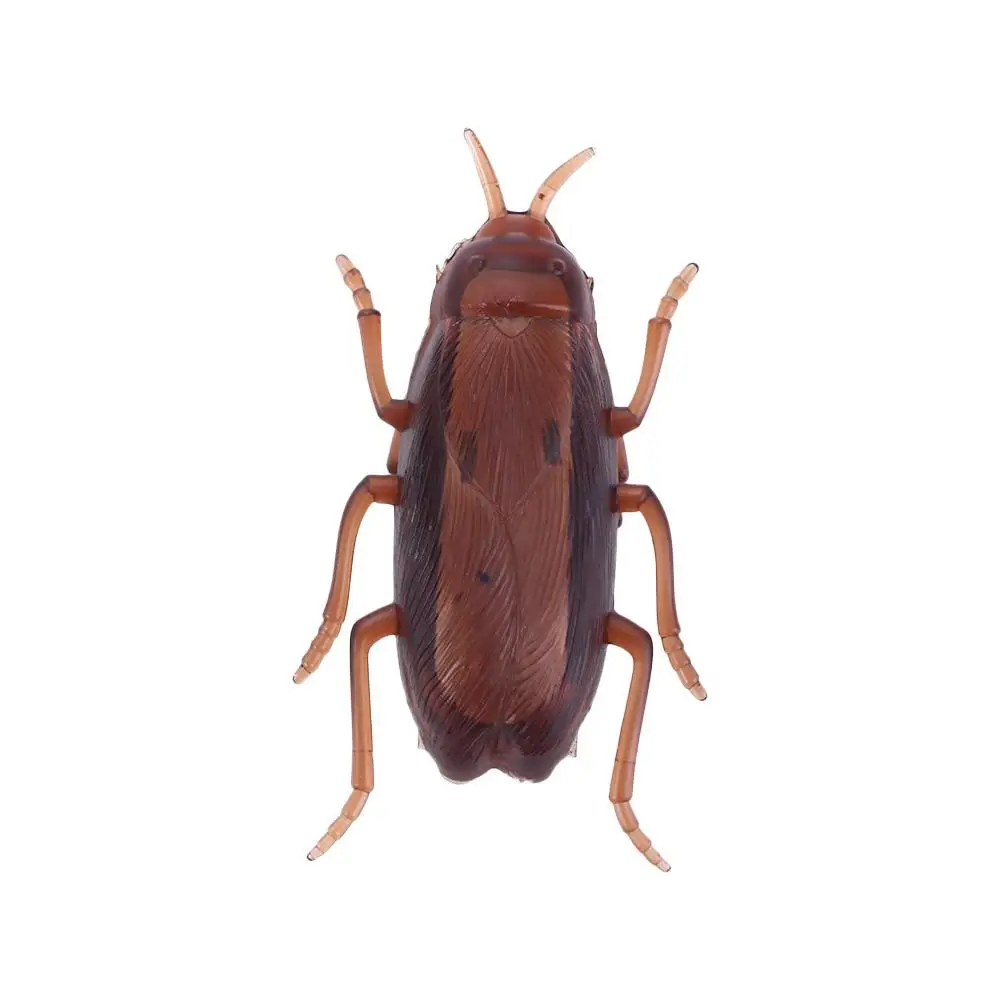

Interactive Electronic Funny Cockroach Battery Training Play