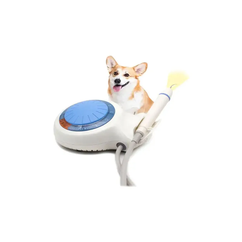 

P5L Ultrasonic Scaler with LED Used for Veterinary,Portable Vet Ultrasonic Scaler With LED,Medical Vet Equipments