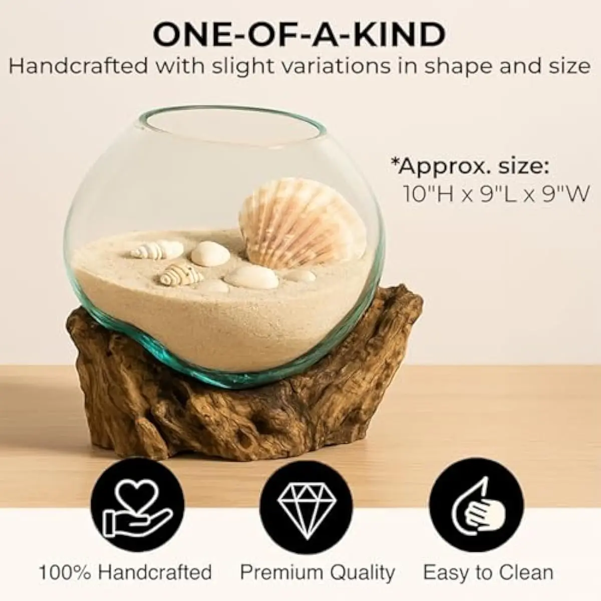 10 Inch Oval Handcrafted Recycled Glass Terrarium with Natural Driftwood Base | Portable Indoor Planter for Succulents Air Plant