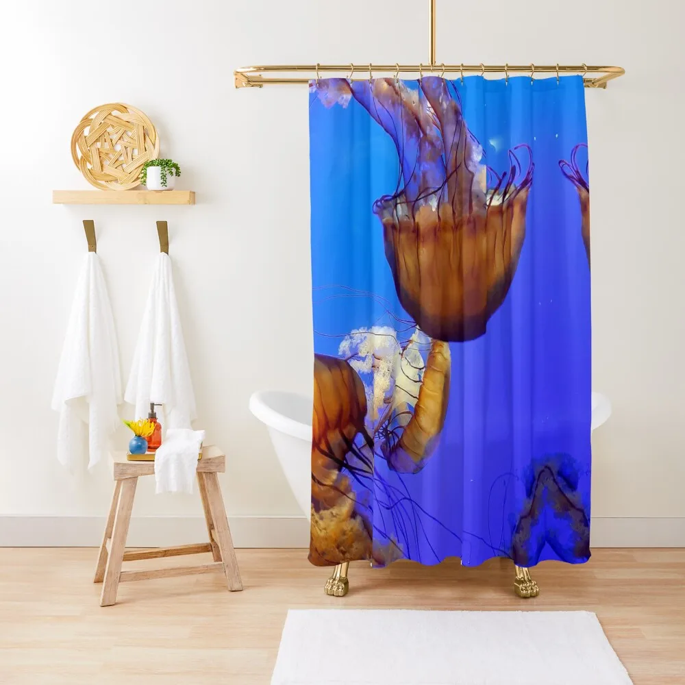 

Jellyfish Shower Curtain Bathtub For Bathroom Waterproof Shower For Bathrooms With Beautiful Designs Curtain