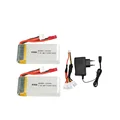 2Pcs and EU charger