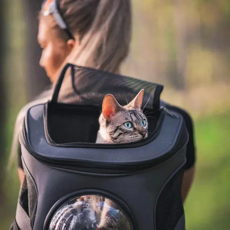 Fat Cat Backpack Carrier Denim Pet Backpack with Space Capsule Bubble for Small Medium Cats Puppy Dog Backpack for Travel Hiking