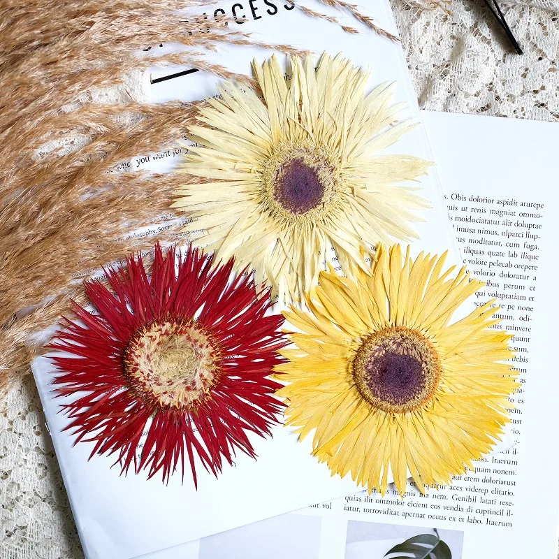 1pcs/7-9cm,Pressed Gerbera Dried Flowers Sunshine Color Dry Flowers DIY Craft Stickers Resin Phone Case Handmade Decor Materials