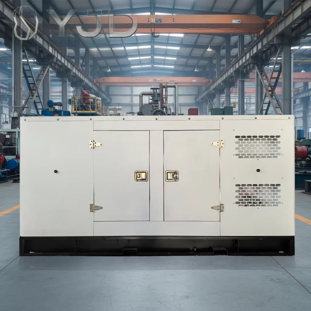 200kw Silent Diesel Generator Set Automatic Voltage Regulation Single Phase AC Output 60 Hz Auto Start-Multipurpose Uses