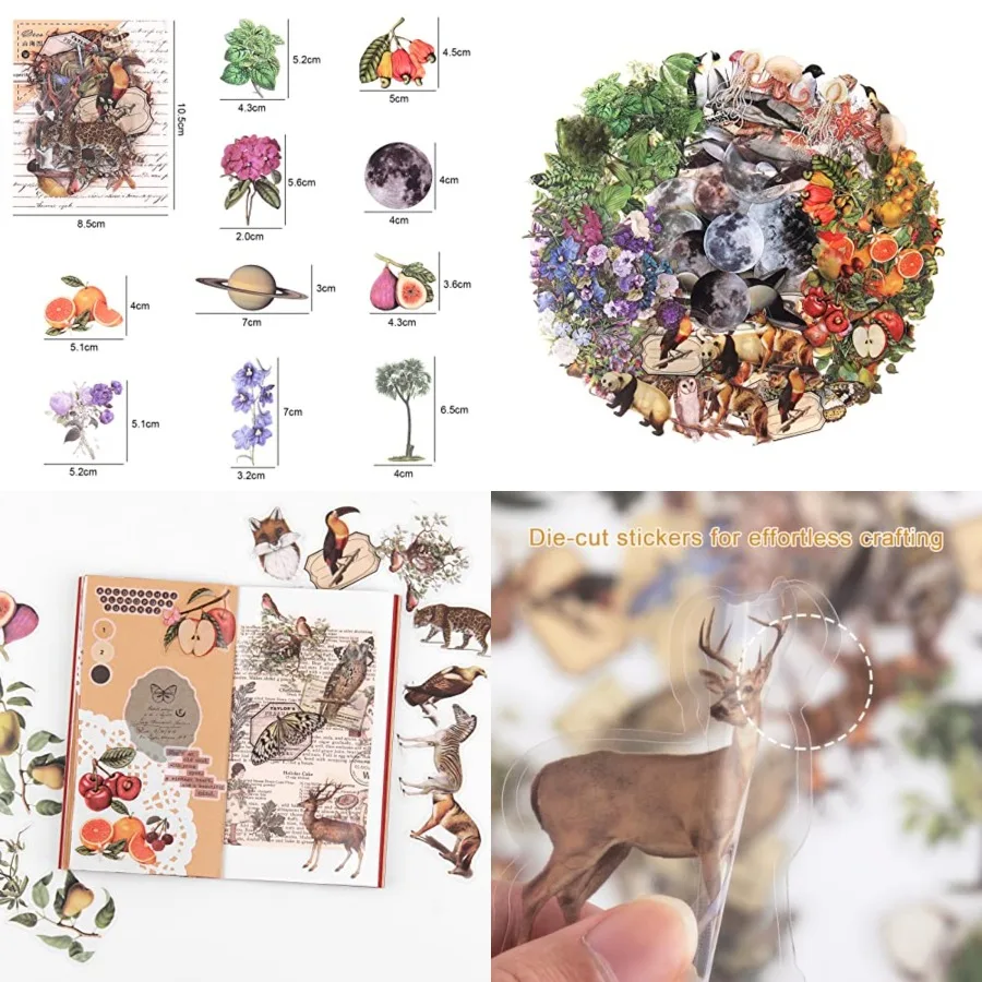 

Nature Themed Transparent Pre-Cut Stickers for Scrapbooking Pack of 240 Flora and Fauna Vintage Aesthetic Decorative Decals for