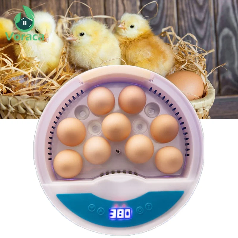 1Pc Eggs Incubator Automatic Digital Brooder Poultry Tool Chicken Hatchery Machine One-button Duck Home Egg Breeder Heating