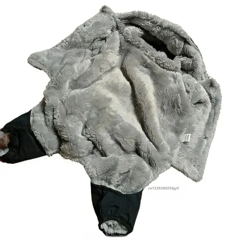 Thumbnail 3 - #64 Pet Apparels List of Top Picks