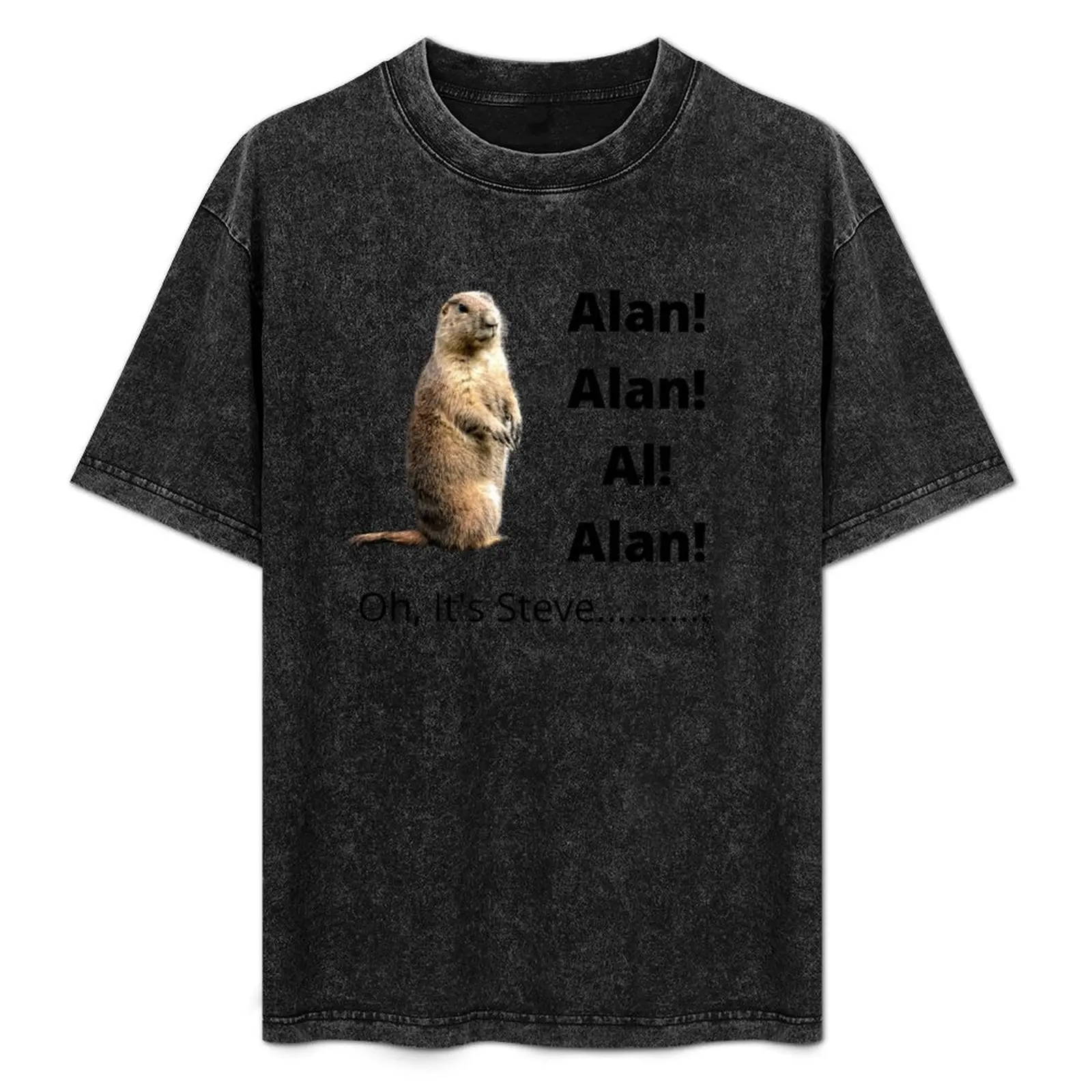 Alan Alan Al! Alan T-Shirt anime stuff anime tshirt shirts graphic tee anime clothes cotton t shirt men