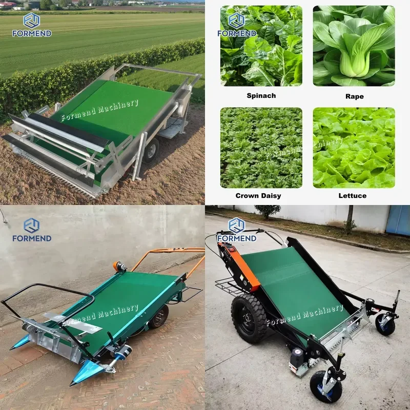 2026 Environmentally Friendly Leafy Harvester Suitable for Crown Daisy and Meeting Various Various Harvesting Scenarios
