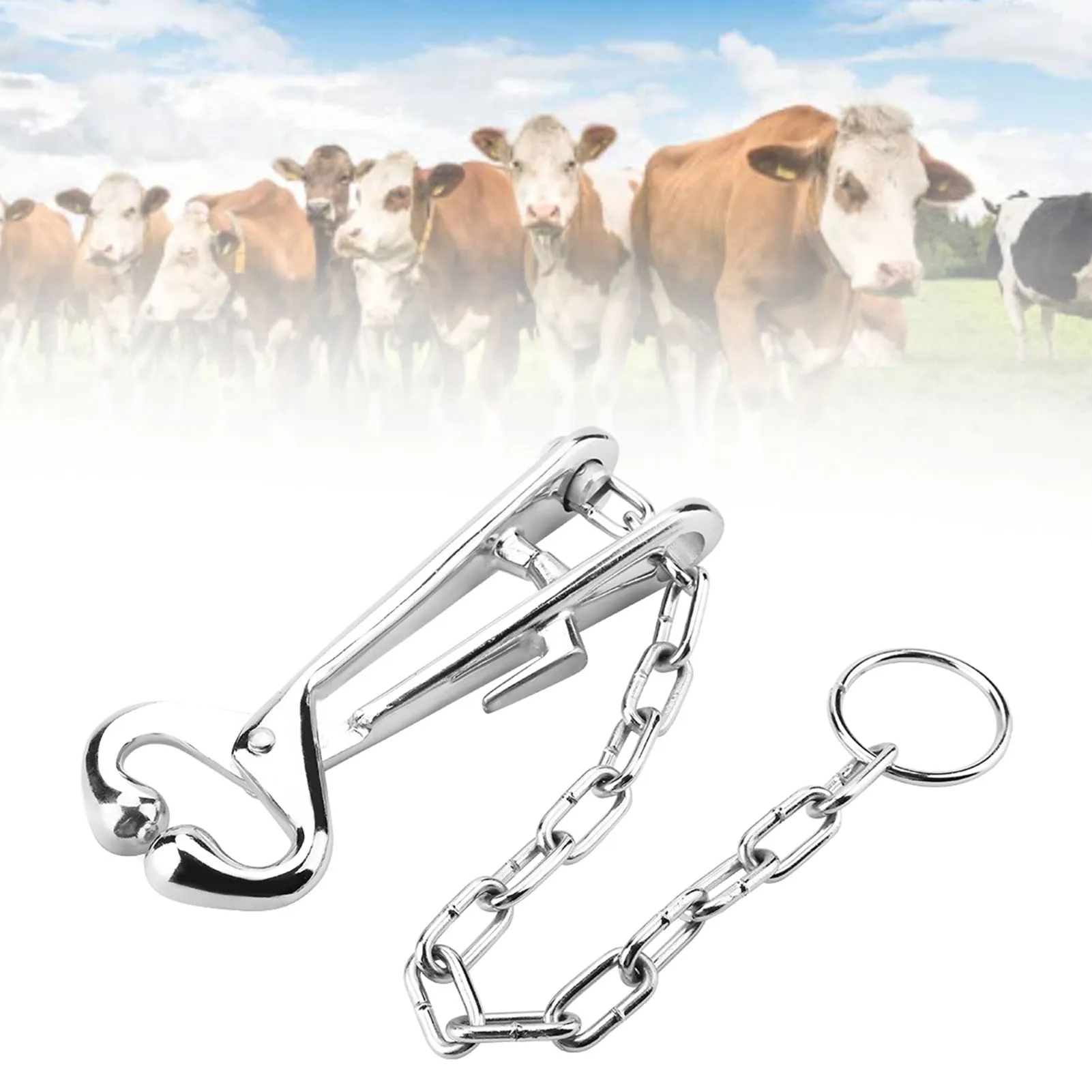 Stainless Steel Cow Nose Ring Pliers Bull Cattle Bovine Clip with Chain Pulling Tool