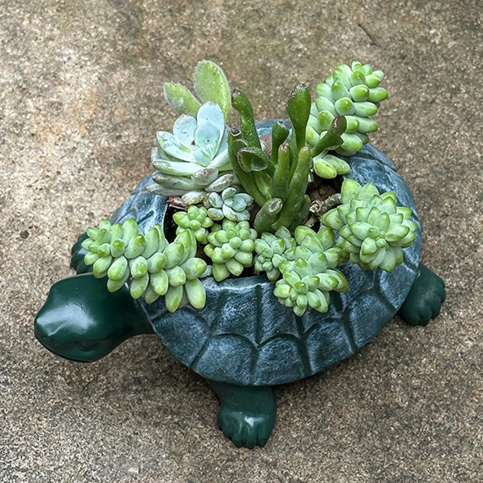 

Turtle Planter Flower Pot Bonsai Pot Collection Artwork Turtle Plant Pot for Garden Restaurant Bookshelf Office Birthday Gift