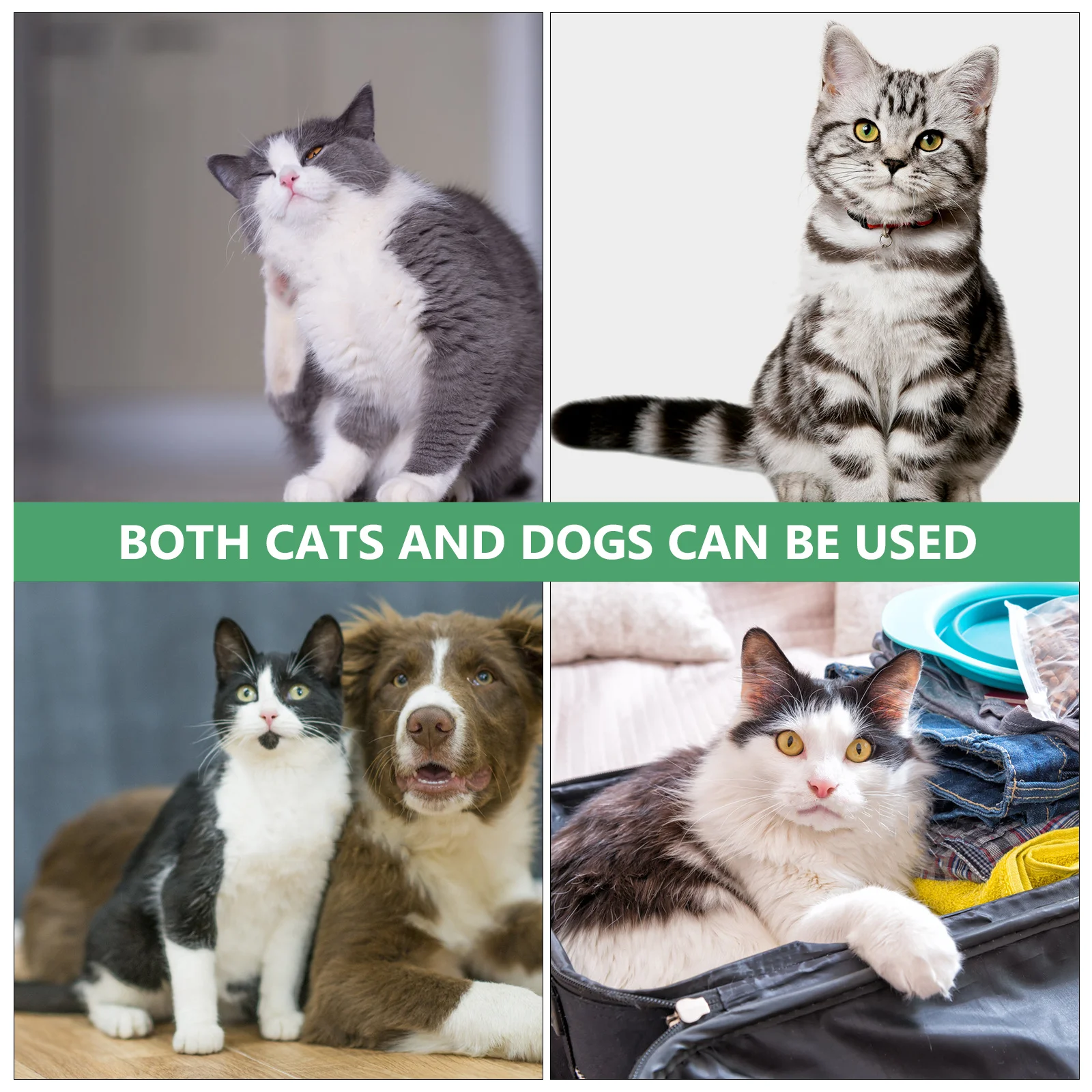 

Funny Pet Dance Party Hat Cat Dog St Patricks Day Adjustable Costume Photo Props Headpiece Cosplay Cap