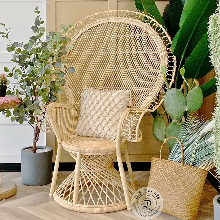 

Leisure Outdoor Wicker Chair Rattan Chair for Sale
