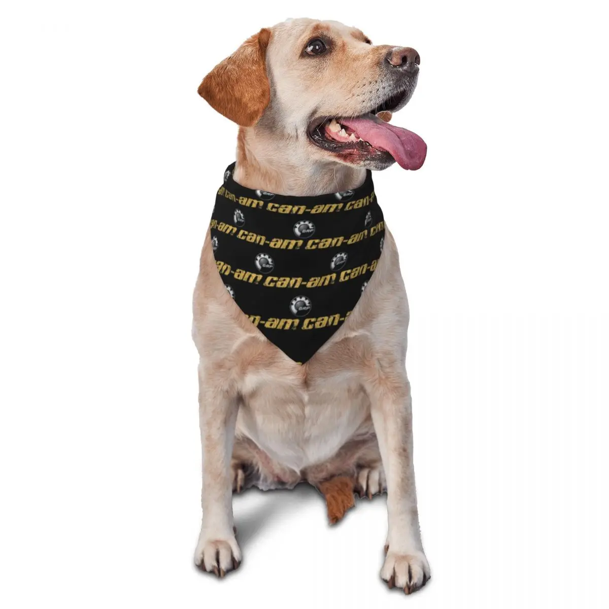 Brp Can Am Logo Pet… - image