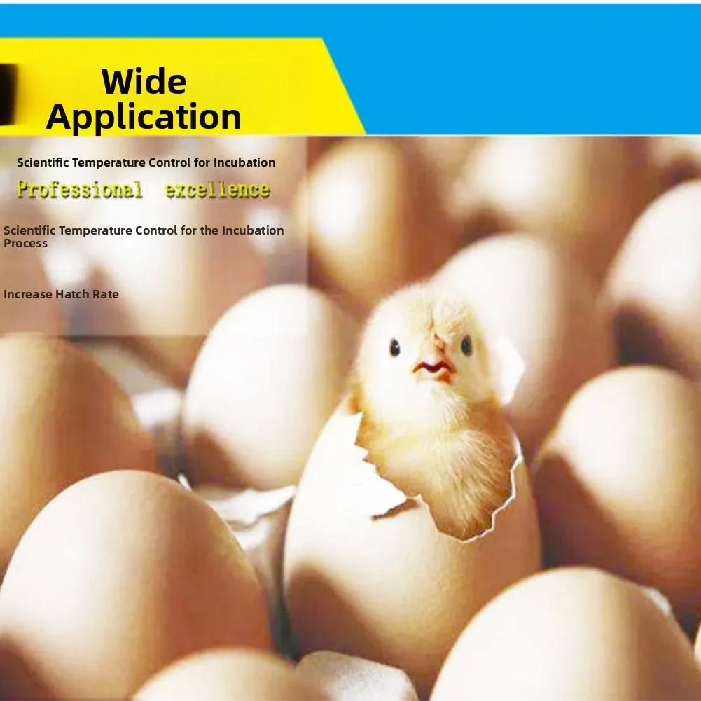 

Automatic Switch Digital Thermostat Child Lock Feature Digital Temperature Display High Accuracy Control For HVAC Systems