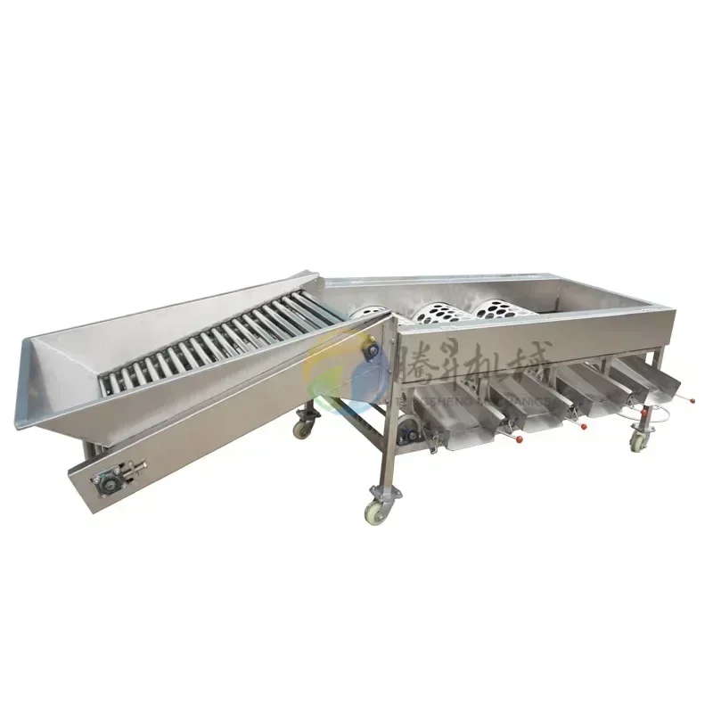 

Dates Fruit vegetable sorting machine/potato lemon orange sorter machine for sale