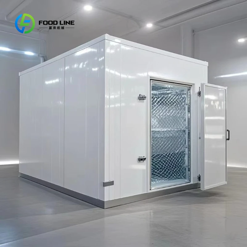Chambre de stockage au froid de petite taille personnalisée Chambre froide réfrigérée pour la viande et les fruits de mer