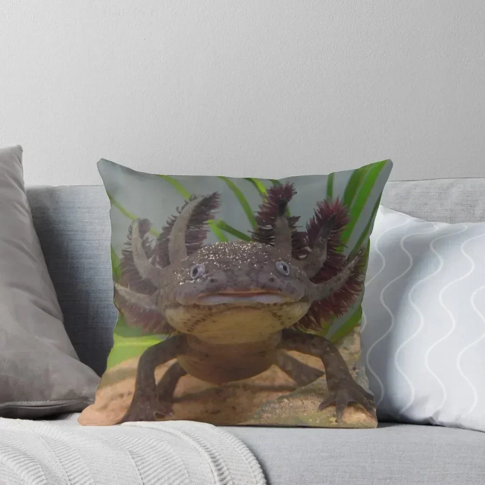 

Smiling Axolotl! Throw Pillow Pillow Cover pillows decor home Covers For Sofas pillow