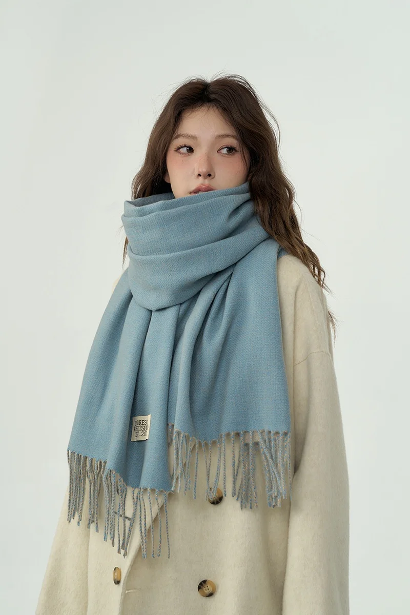 Solid Color Double-Side Cashmere Winter Women Scarf Korea Style Warm Shawl Outdoor Neckerchief Pashmina Tassel Lady