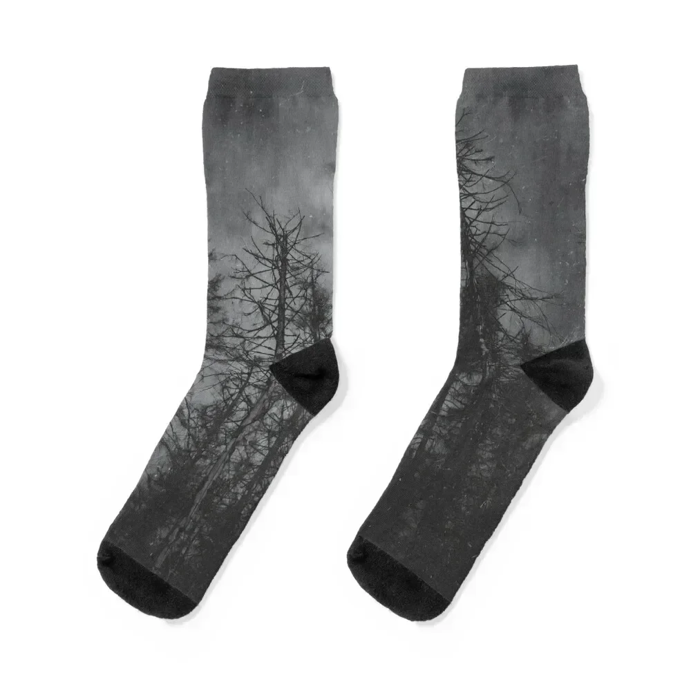 

Transmission Socks designer Rugby cartoon tennis Man Socks Women's