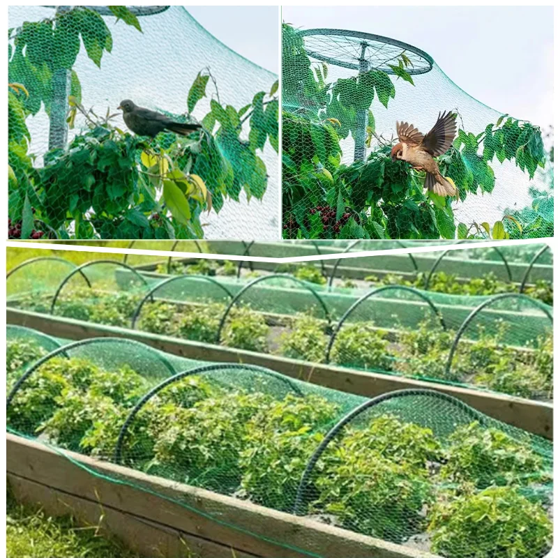 2/4/5mVersatile Bird Net for Citrus, Grapevines & Nut Trees – Doubles as Pool Cover, Leaf Blocker & No-Drill Balcony Cat Fence