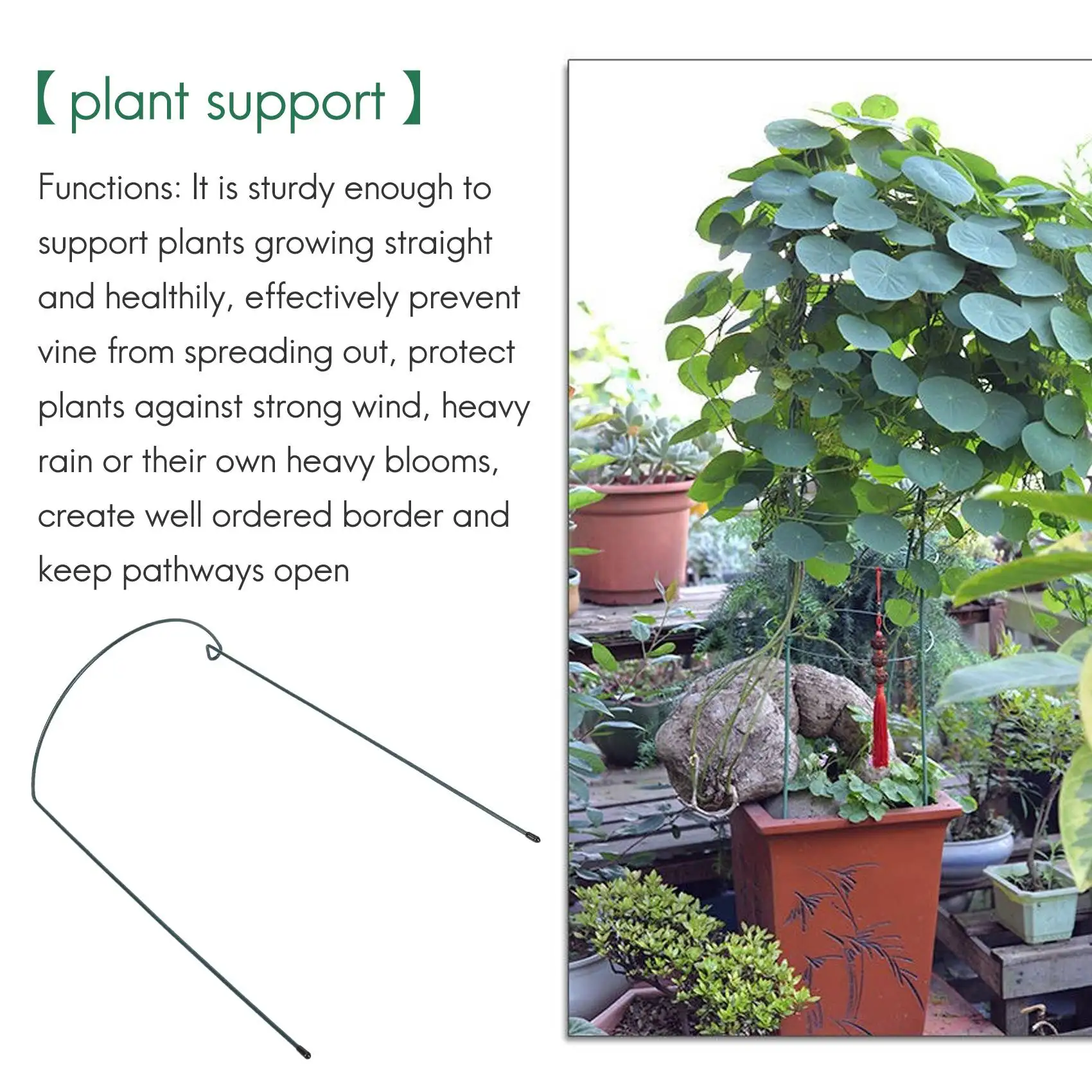 Inventory-Plant Support Stake, 8-Pack Half Round Metal Garden Plant Supports, Green Garden Plant Support Ring, Garden Border