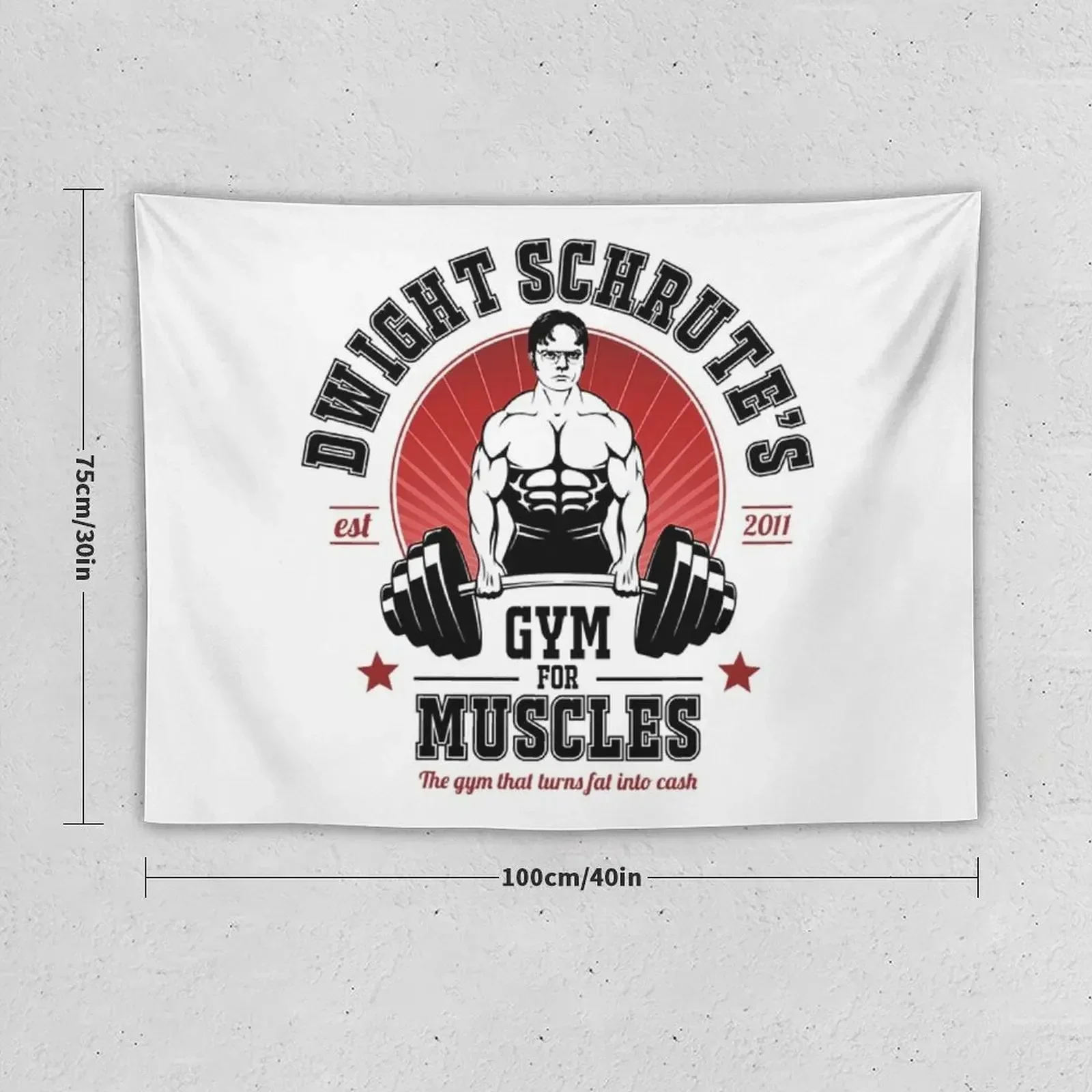 Dwight Schrute T-ShirtDwight Schrute's Gym For Muscles Tapestry Room Decor For Girls Decorative Paintings Tapestry