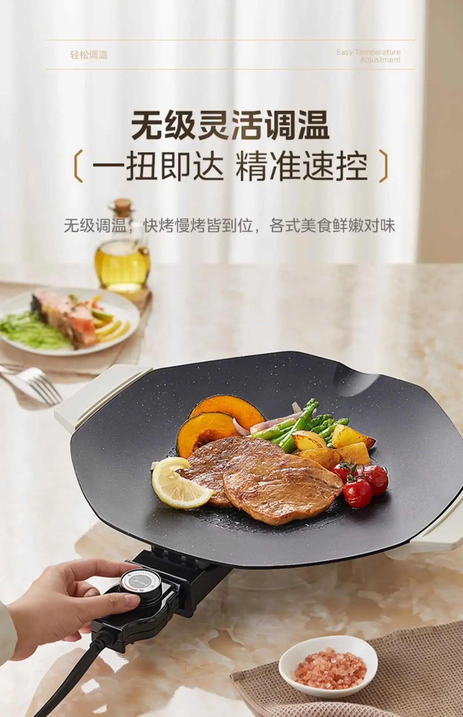 220V Indoor Outdoor Electric Oven with Integrated Smoke Control for Home Use and Grilling Plate