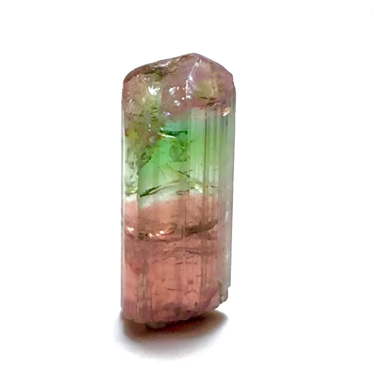 Brazilian Elbaite Crystal Points, 10g 5-15mm Mixed Colors, Display Box for Desk Decor & Natural Stone Collection