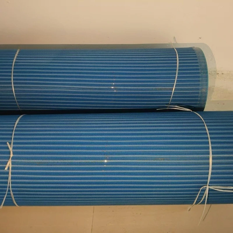 حصيرة شاطئ رملية غير قابلة للانزلاق يمكن الوصول إليها للكرسي المتحرك #1