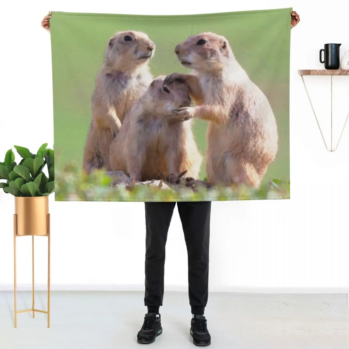 Watercolor Prarie Dog 08, Boulder County, Colorado, Good Job Throw Blanket Thin Flannels Kid'S Summer Beddings Blankets