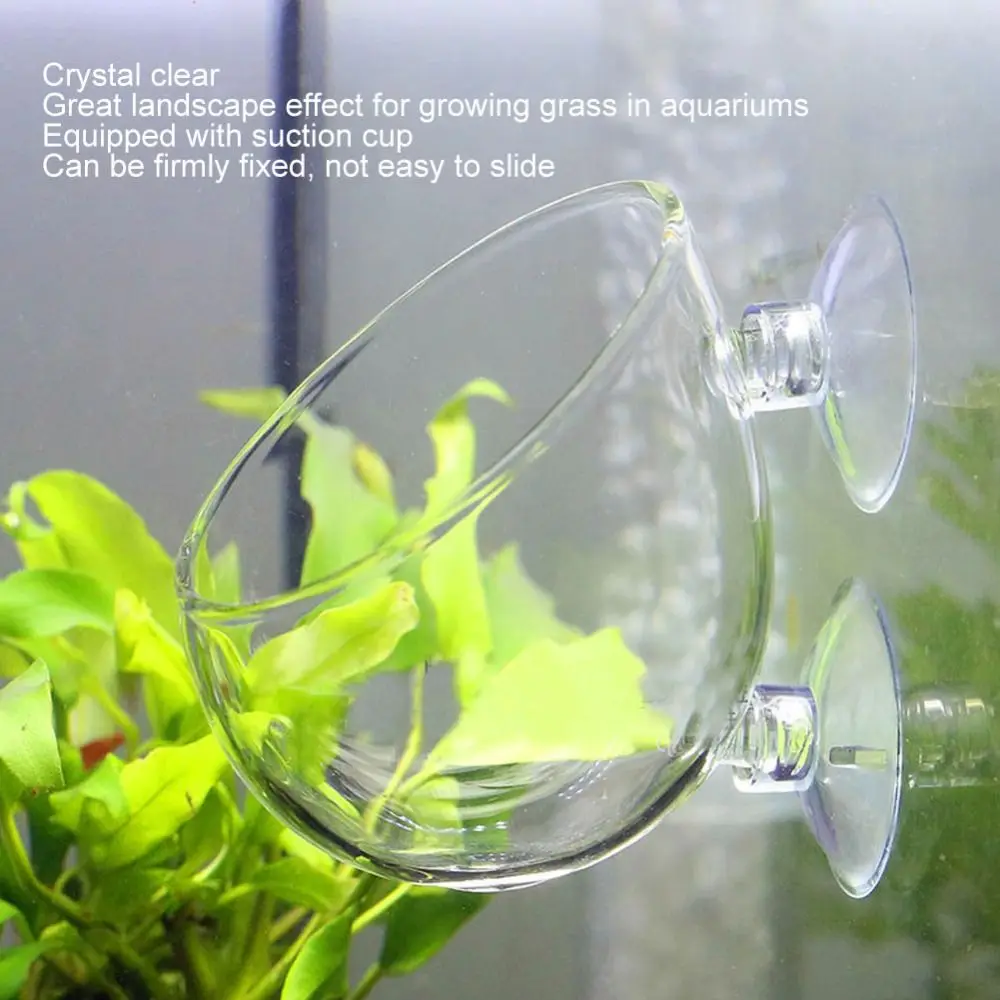 Transparent Aquarium Plant Cup Suction Cup Mount Open Top Aquatic Plant Holder Compact Aquatic Plant Cultivation Cup