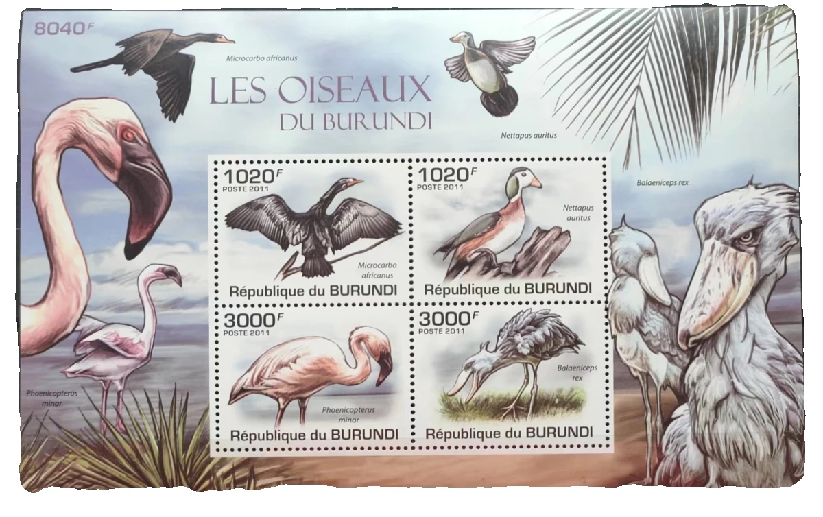 Burundi Post Y2011 Wading Birds Cormorant Whale Head Stork Flamingo 1Set 4 New Collectible Postage Stamps Material For Scrapbook