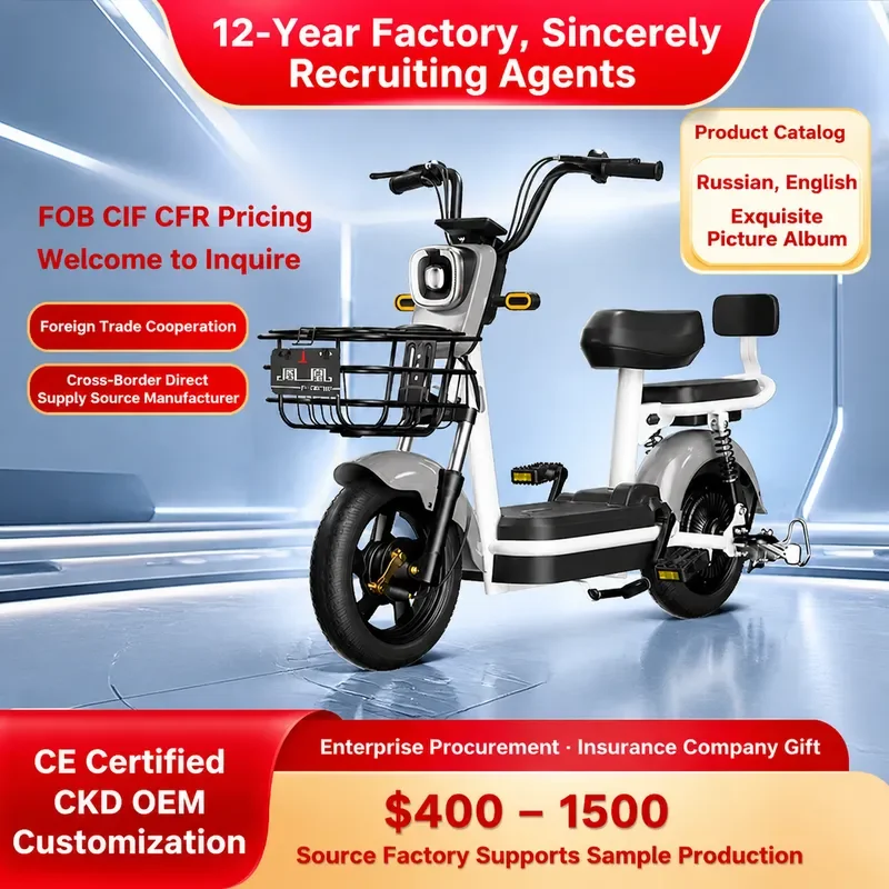 2025 New National Standard Electric Vehicle for Adults Graphene Battery Small E Bike Licensed Road Legal Scooter