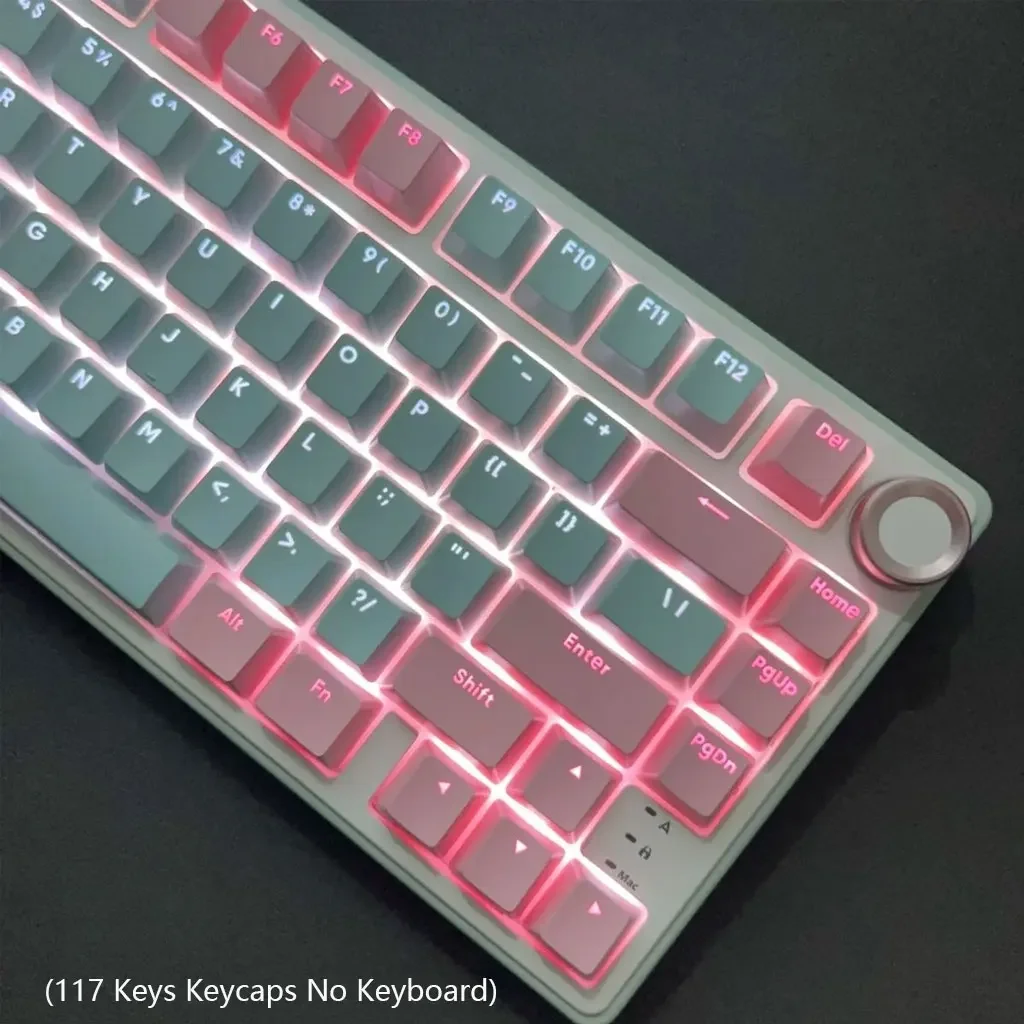 117 toetsen roze-cyaan keycaps OEM hoogte PBT DIY gamer maatwerk voor 61 87 98 104 108 toetsen mechanisch toetsenbord