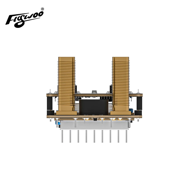 Módulo receptor de óculos analógico duplo VRX Flywoo 1G2-1G3