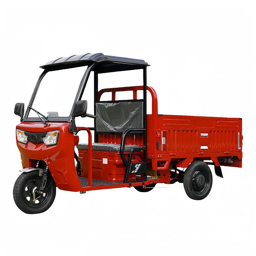 Custom Electric Tricycle with Canopy, Heavy-Duty Cargo Trike for Hill Climb, Household Freight Carrier, Simple Roofed