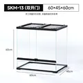 SKM-13