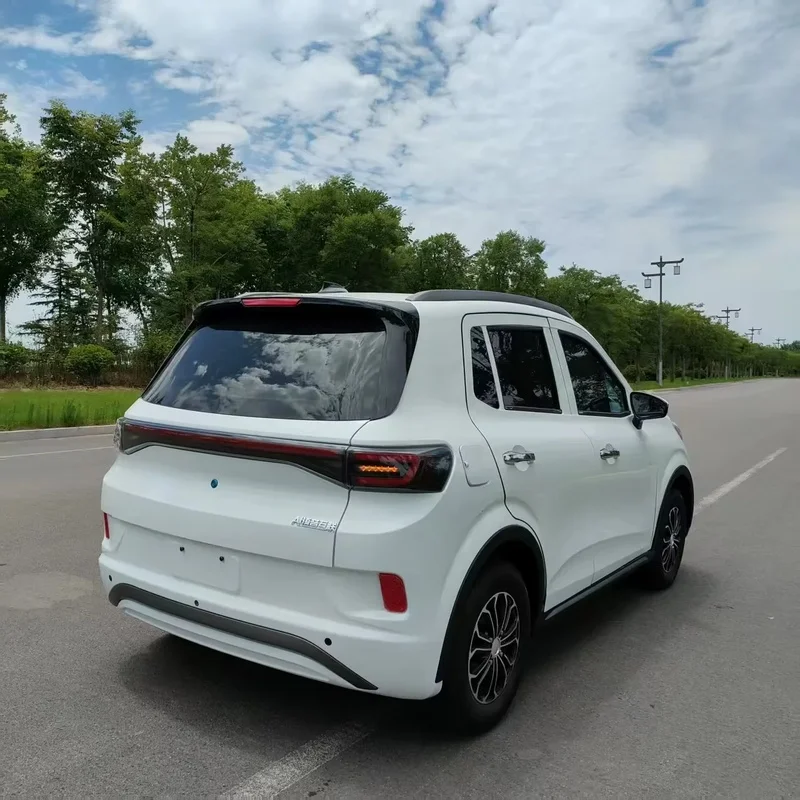 Hot Sales High Quality New 4-Wheel 3500W Car Made in China Adults Rural Town Mobility